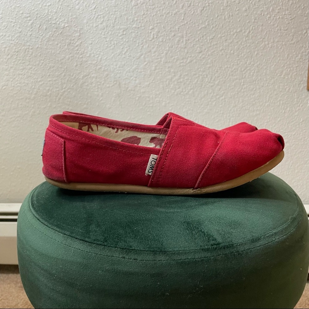 TOMS Classics